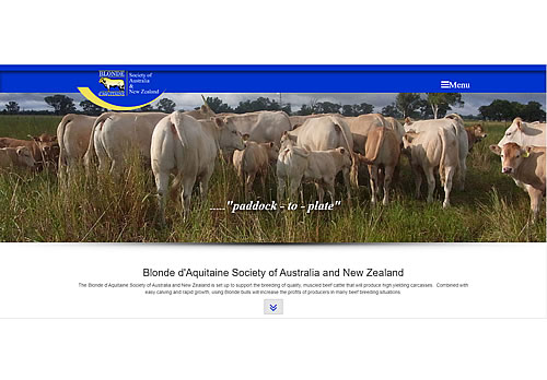 Blonde dAquitaine cattle banner